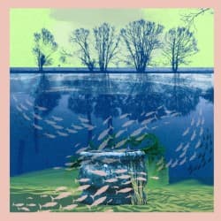 Troubled Waters