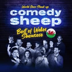 Comedy Sheep: All Star Stand-Up Showcase!