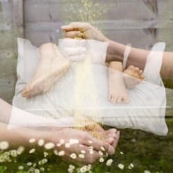 The Pillow Dream