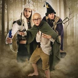 Lord of the Zings: A Kiwi Comedy Showcase