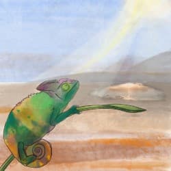 chameleon; mirage