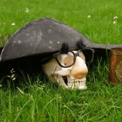 Hamlet: The Musical