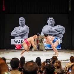 The Sumo Show HIRAKUZA