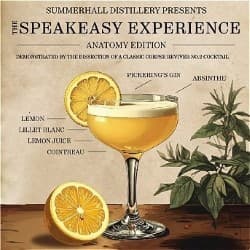 The Speakeasy Experience