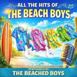 All the Hits of The Beach Boys