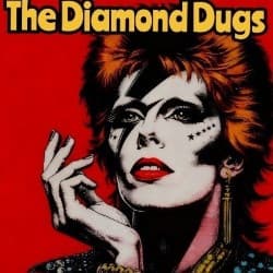 The Diamond Dugs (Present the Music of David Bowie)