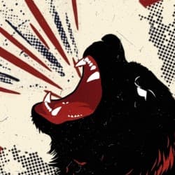 The Bear
