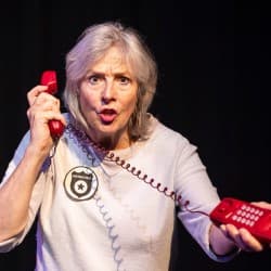 The Mystery of Pleasance Two
