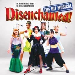Disenchanted! The Hit Musical