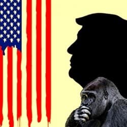 The Last Days of Trump (A Liberal Fantasy)