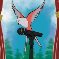 A Comedian's Guide to Birdwatching