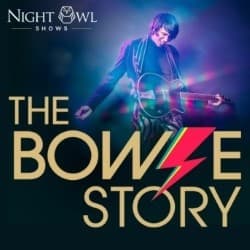 The Bowie Story