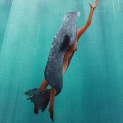 Selkie: Past, Present, Future