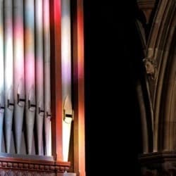 St Mary's Cathedral: Organ Recitals