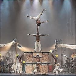 Afrique En Cirque